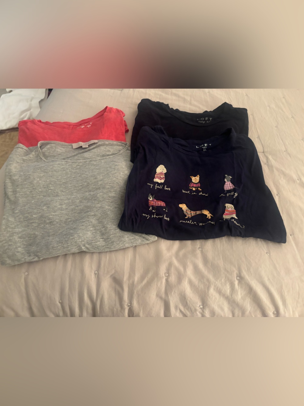 4 XL Loft T Shirts- 2 LS, 2 SS